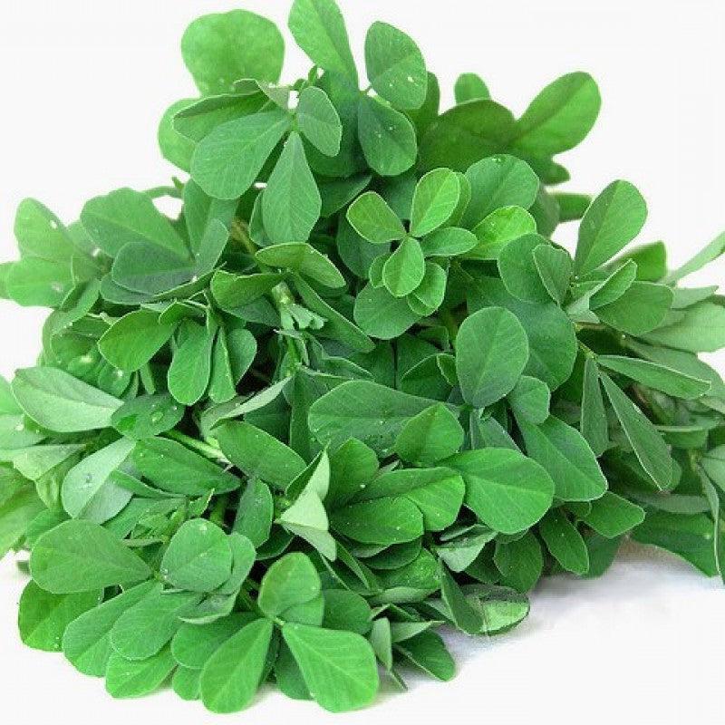 Methray 500+ Seeds