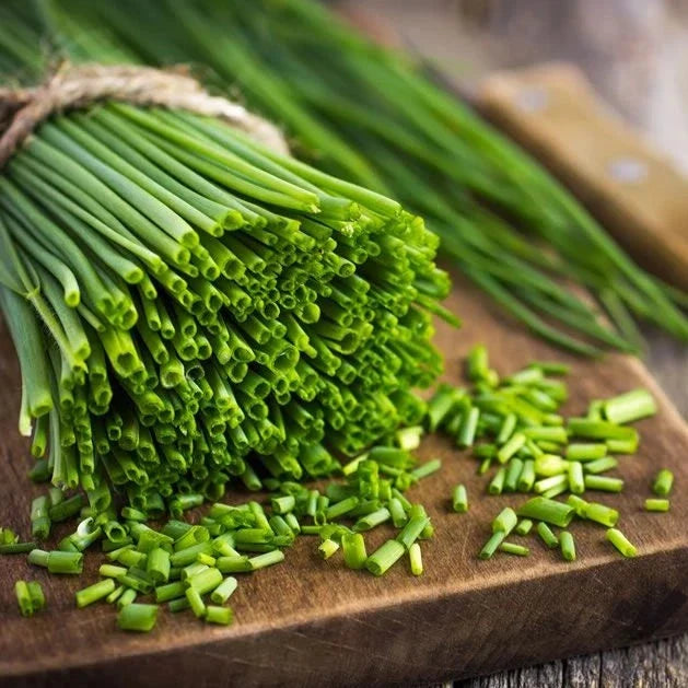 Garlic Chives 30+ Seeds