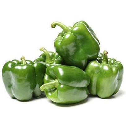 Green Capsicum 25 Seeds