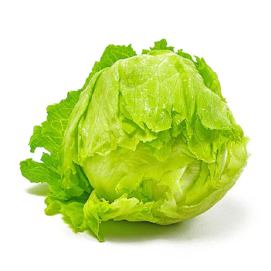 Iceberg Lettuce 100+ Seeds