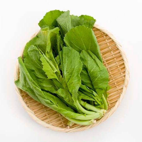 Sarson Saag 500+ Seeds